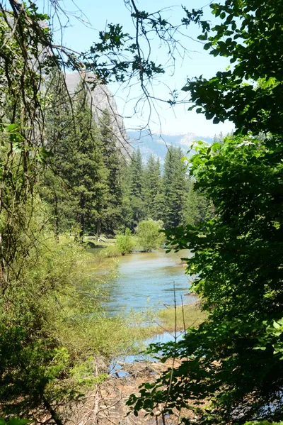 DSC_2366 (Large).JPG